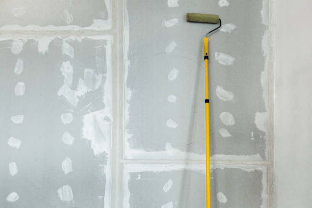 Best Asbestos and Lead Testing During Mold Inspection  in Potomac, MD