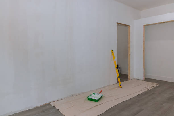 Best Mold Odor Removal Services  in Potomac, MD