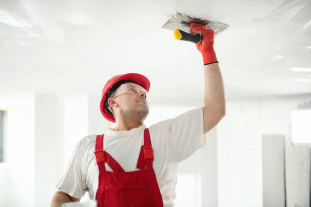 Best Air Quality Testing for Mold Spores  in Potomac, MD