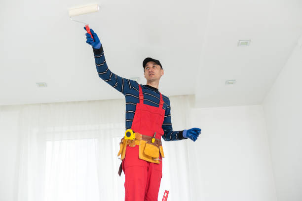 Best Environmental Consulting for Mold Prevention  in Potomac, MD