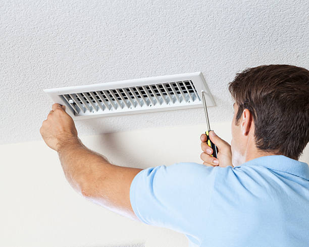 Best Attic Mold Removal  in Potomac, MD