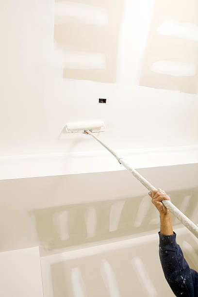 Best Emergency Mold Remediation  in Potomac, MD